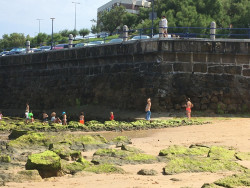 A vueltas con el rede&ntilde;o Francisco Glez-Riancho Colongues