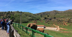 Cab&aacute;rceno bate r&eacute;cord hist&oacute;rico de visitas en diciembre con 23.124