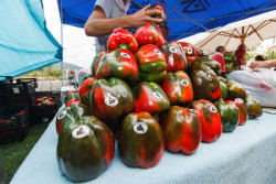 Cantabria destina cerca de medio mill&oacute;n para promocionar en las ferias los productos alimentarios