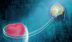 Coraz&oacute;n y Cerebro, amigos &iacute;ntimos, por el Dr. Jos&eacute; Manuel Revuelta