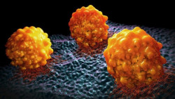 Desarrollan una plataforma de tratamiento basada en virus para combatir el c&aacute;ncer de p&aacute;ncreas