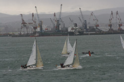 Doblete del Fredo Estrella del Norte en la tirada del J80 Santanderino.