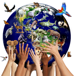 Ecoterrorismo