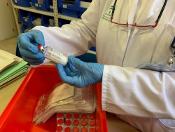 EEUU comienza a distribuir el antiviral remdesivir entre los estados m&aacute;s afectados del pa&iacute;s