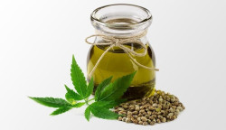 El cannabidiol no afecta la conducci&oacute;n y los efectos del THC desaparecen en horas