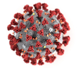 El equipo de investigaci&oacute;n canadiense ha aislado con &eacute;xito el virus COVID-19