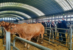 El Mercado de Ganados de Torrelavega contin&uacute;a sin actividad por la huelga del transporte
