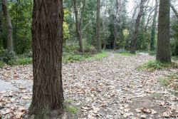  El MITECO concede 2 millones a Torrelavega para el proyecto de recuperaci&oacute;n del Patatal