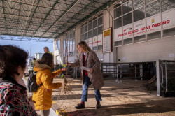 El SERCA comienza a repartir los 4.232 &aacute;rboles de la campa&ntilde;a `Siembra futuro`
