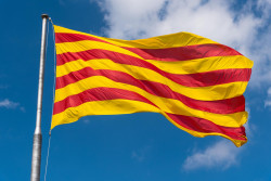 En Catalu&ntilde;a gana "el partido de la abstenci&oacute;n"  Carlos Magdalena