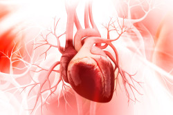 Enchufes para el coraz&oacute;n, por el doctor Jos&eacute; Manuel Revuelta