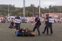 &Eacute;xito de p&uacute;blico y participaci&oacute;n en las I Jornadas de Perros Polic&iacute;a en Torrelavega