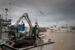Gobierno y CCAA acuerdan los criterios de reparto de los 1.120 millones del Fondo Europeo Mar&iacute;timo de Pesca