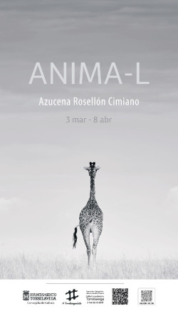 La calle Consolaci&oacute;n de Torrelavega acoger&aacute; una muestra fotogr&aacute;fica sobre fauna salvaje