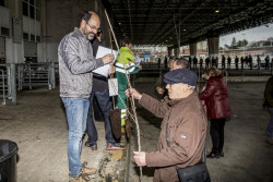 La campa&ntilde;a del &aacute;rbol de Torrelavega repartir&aacute; 3.576 ejemplares