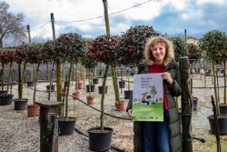 La campa&ntilde;a `Siembra futuro, planta un &aacute;rbol` repartir&aacute; en Torrelavega m&aacute;s de 4.200 ejemplares