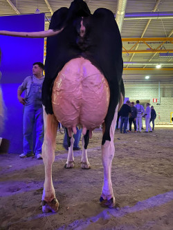 La m&aacute;s guapa de todas Por Pedro Arce