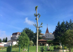  La patronal de dependencia denuncian "desesperados" que los centros de mayores siguen sin recibir los test