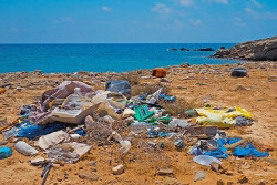 La UNED organiza un curso de verano en Colindres sobre los problemas medioambientales