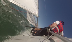 Las &ldquo;Lagunejas&rdquo; retornaron, tras el&nbsp; confinamiento, a la bah&iacute;a Santanderina