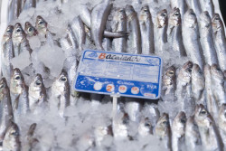 Las pescader&iacute;as vuelven a reclamar la bajada del IVA ante la fuerte ca&iacute;da del consumo