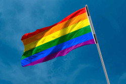 Menos presunta &nbsp;homofobia, m&aacute;s sentido com&uacute;n y mejor convivencia. 