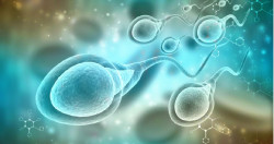 Nace el primer beb&eacute; a partir de una t&eacute;cnica de reproducci&oacute;n que "activa" los espermatozoides