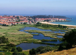 Noja acoge este fin de semana un curso de iniciaci&oacute;n a aves acu&aacute;ticas y l&iacute;m&iacute;colas