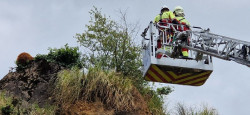 Rescatado un oso joven de un risco en Cab&aacute;rceno que tuvo que ser sedado y bajado por bomberos del 112
