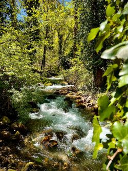 RESTAURACI&Oacute;N DE LA NATURALEZA  Por Juan Goti Orde&ntilde;ana  Catedr&aacute;tico jubilado de la Universidad de Valladolid