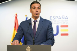 S&aacute;nchez debe convocar elecciones cuanto antes.  Carlos Magdalena