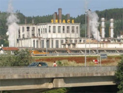 Sniace: La guinda