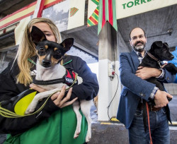 Torrelavega abre el plazo de solicitud de subvenciones para proyectos de bienestar animal