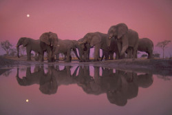 Torrelavega acoge la muestra `De Polo a Polo`, con im&aacute;genes de los grandes para&iacute;sos naturales