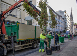 Torrelavega adorna la calle Consolaci&oacute;n con diez jardineras de gran tama&ntilde;o