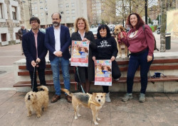 Torrelavega celebrar&aacute; el d&iacute;a 18 un Carnaval para perros y mascotas en La Llama