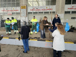Torrelavega contin&uacute;a el lunes el reparto de los 2.345 ejemplares solicitados en la Campa&ntilde;a del &Aacute;rbol