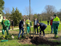 Torrelavega inicia la plantaci&oacute;n de cerca de 2.000 &aacute;rboles, arbustos y plantas en el parque Miravalles