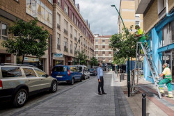 Torrelavega realiza una suelta de insectos para prevenir plagas en el arbolado