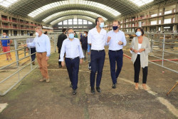 Torrelavega recupera la feria ganadera con el deseo de no volver a cerrar por el Covid