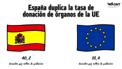 Un a&ntilde;o m&aacute;s, Espa&ntilde;a l&iacute;der mundial.   Por Eduardo Madro&ntilde;al Pedraza