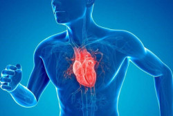 Un estudio re&uacute;ne los principales s&iacute;ntomas de las seis enfermedades cardiovasculares m&aacute;s comunes