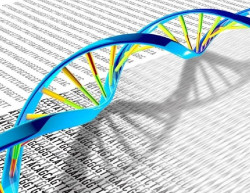 Un importante avance permite estudiar las mutaciones gen&eacute;ticas en cualquier tejido