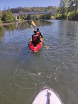 Un total de 800 personas participar&aacute;n en las rutas en canoa y paddle surf por el r&iacute;o Saja-Besaya