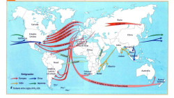 VALORACION LABORAL DE LA INMIGRACION&nbsp; Por Antonio Sarabia Letrado del ICA 